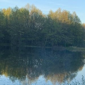 Meet your Posher, Bailey